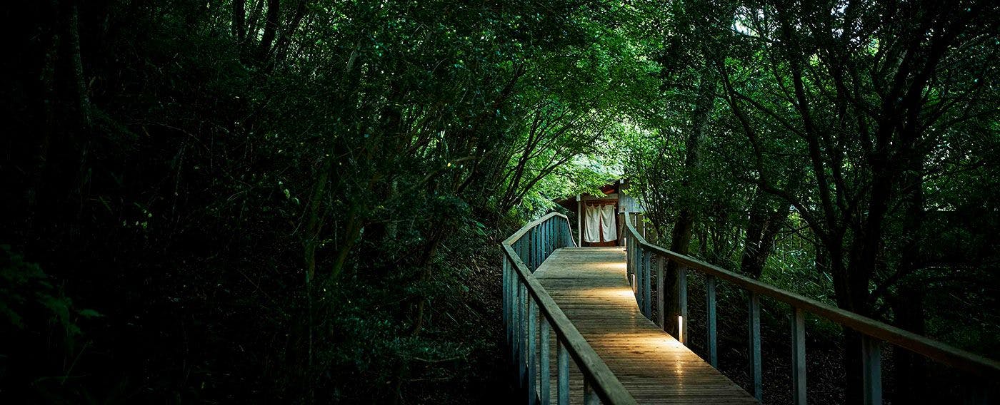 Dek kayu sepanjang 200 meter di tengah hutan ini adalah jalan satu arah menuju 【ONSEN f】.