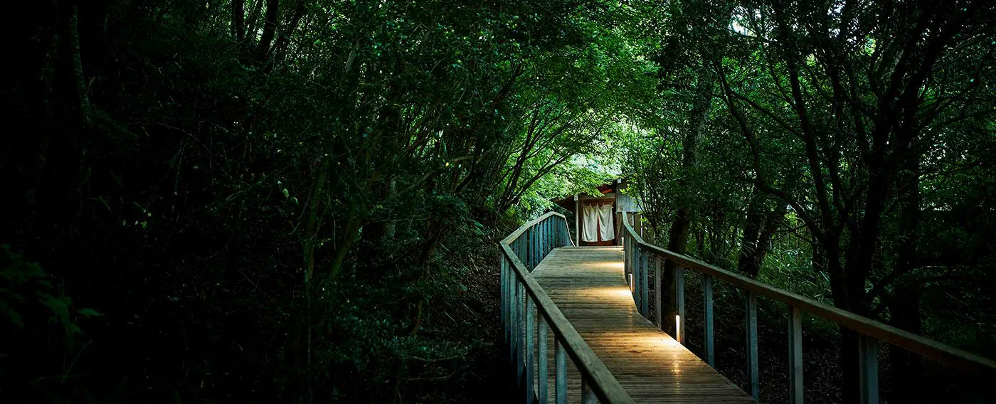 Dek kayu sepanjang 200 meter di tengah hutan ini adalah jalan satu arah menuju 【ONSEN f】.