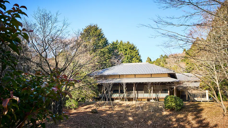 Hakone Retreat Fore