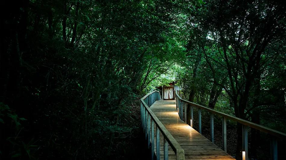 Hakone Retreat Fore