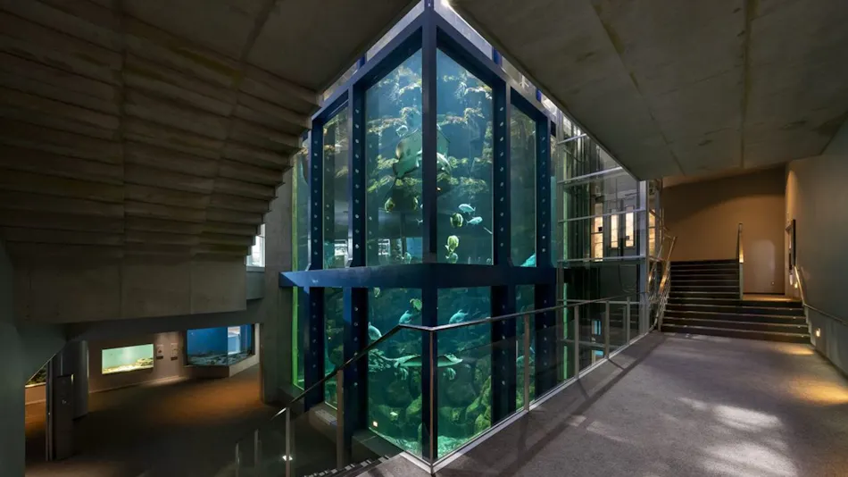Kinosaki / Hiyoriyama Onsen Hotel Kinparo