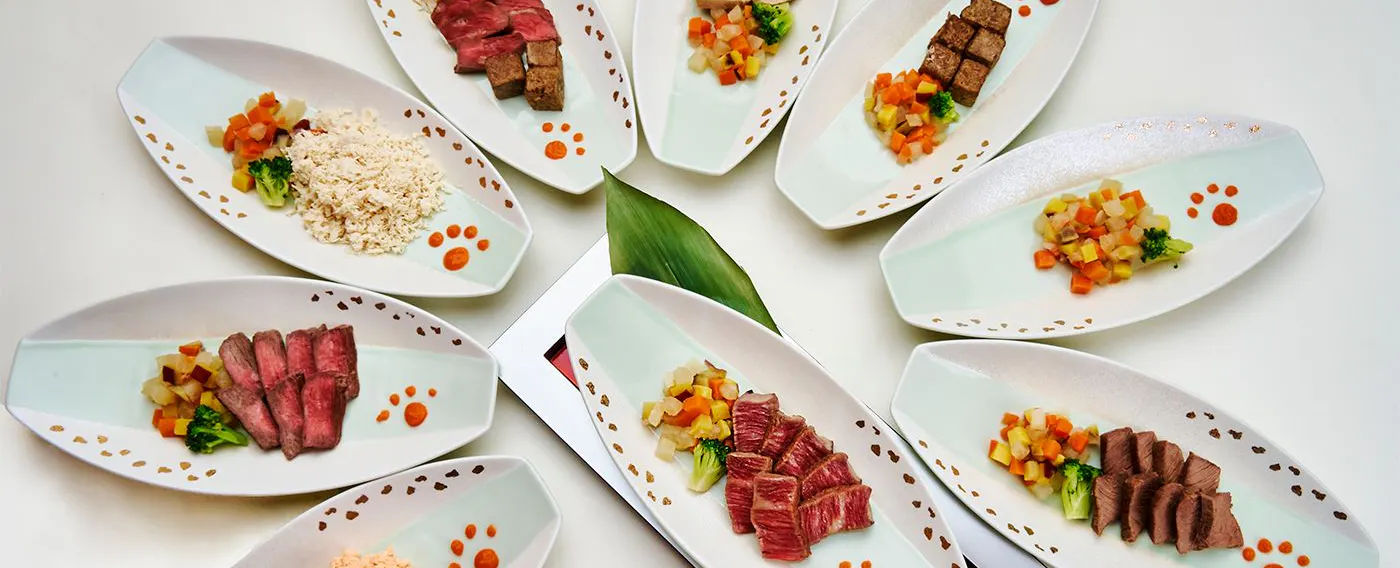 반려견 식사 메뉴는 당일 주문도 가능합니다. 여행에서만 즐길 수 있는 ‘특별한 한 끼’를 반려견에게도 선물하세요.