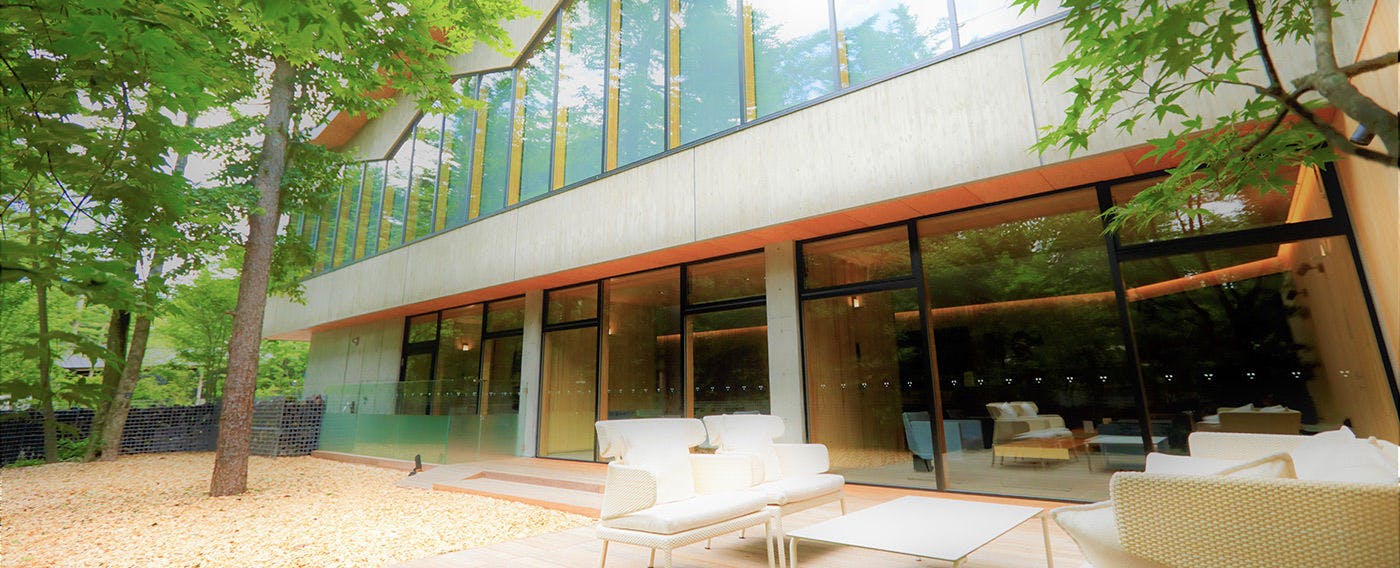 【도그런】우드칩 향이 가득한 정원에서 신나게 뛰노는 반려견을 바라보세요