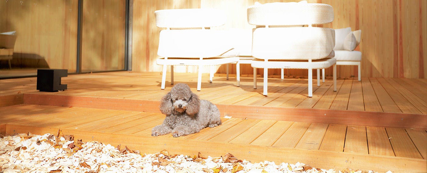 Regina Resort Old Karuizawa