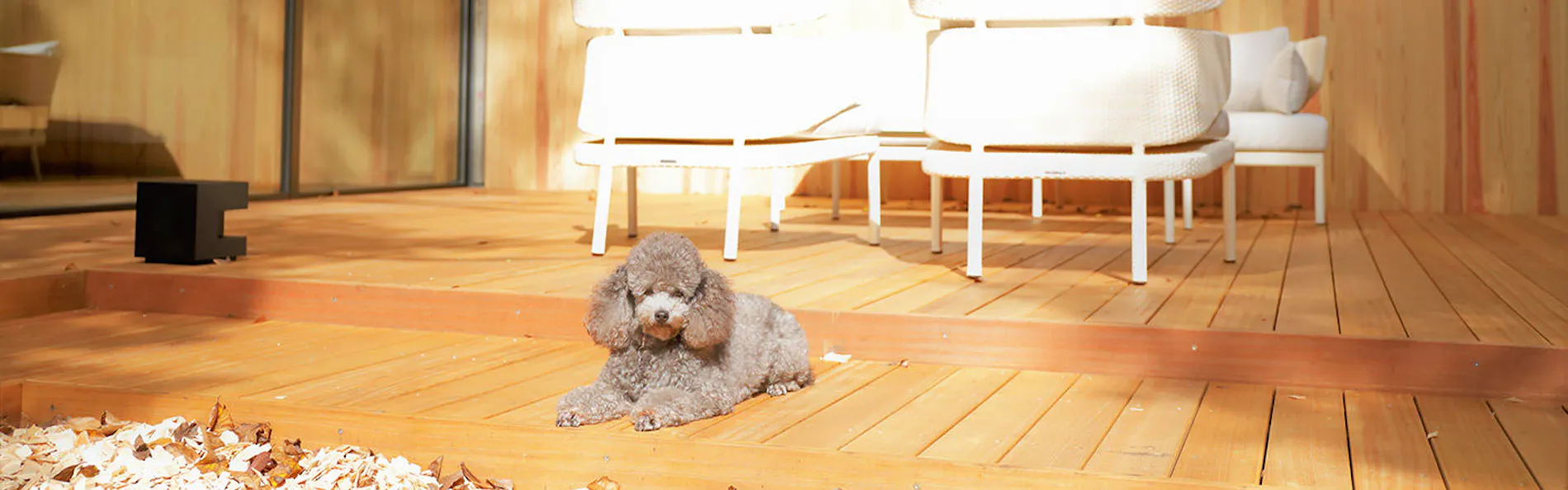 レジーナリゾート旧軽井沢