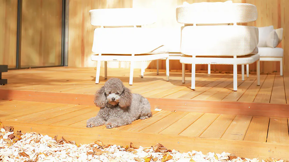 Regina Resort Old Karuizawa