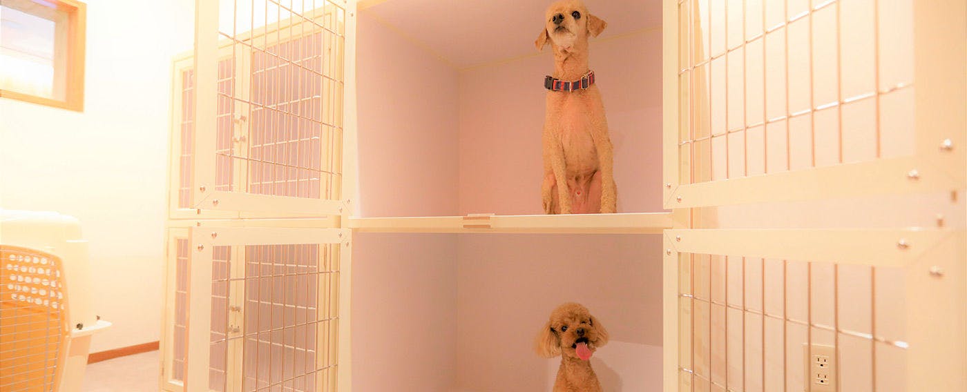 Regina Resort Old Karuizawa