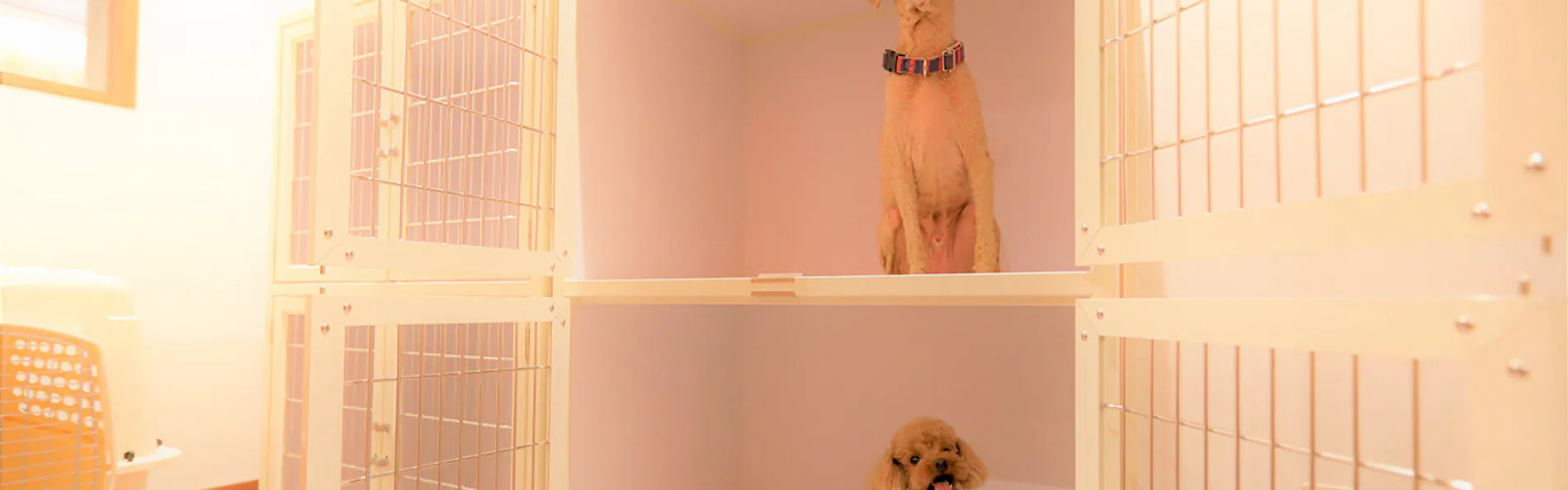 レジーナリゾート旧軽井沢