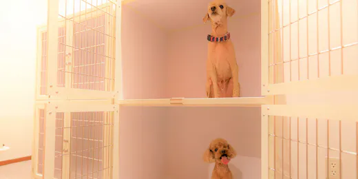 レジーナリゾート旧軽井沢