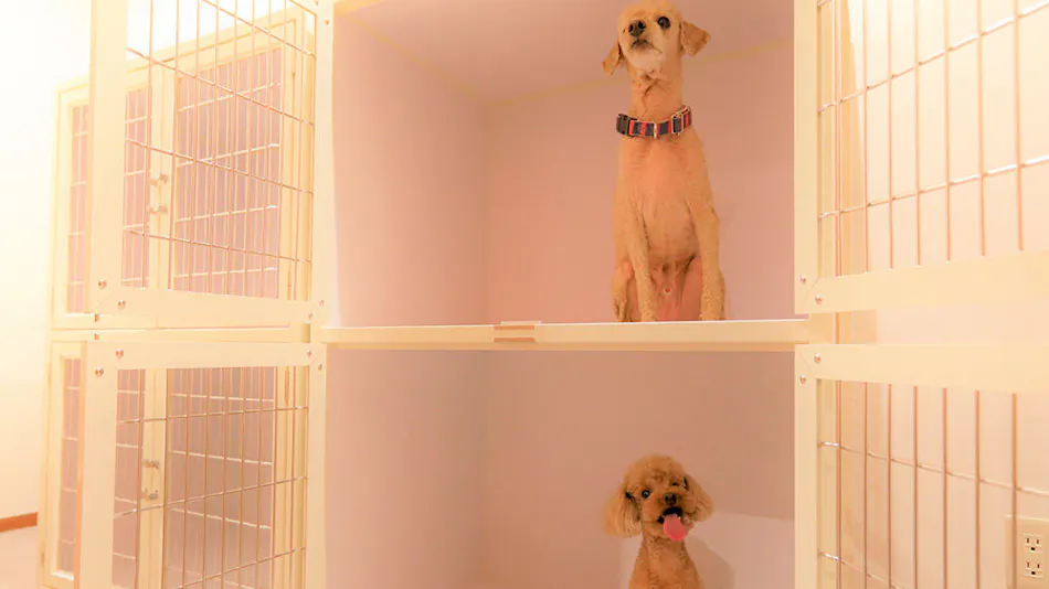 Regina Resort Old Karuizawa