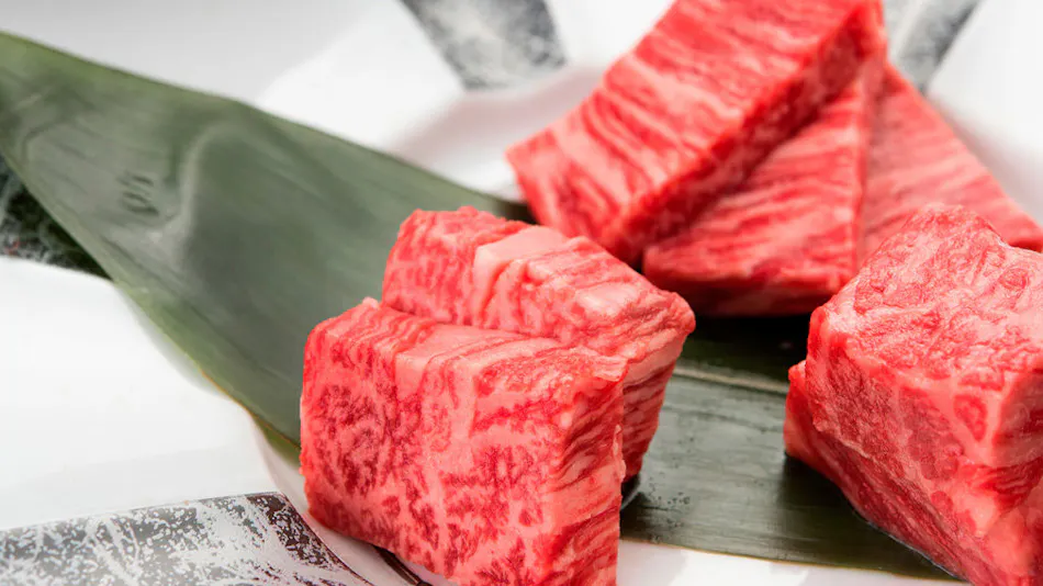 Tenchi no Yado Oku no Hosomichi