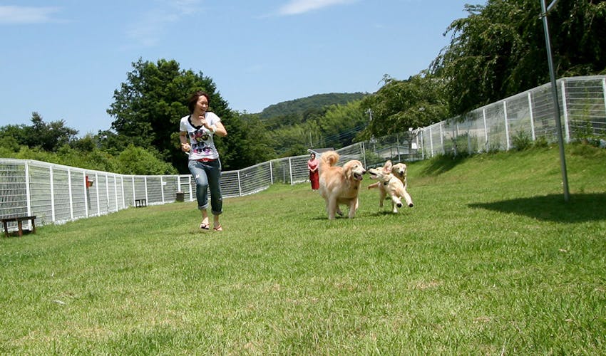 愛犬と泊まれる温泉旅館 伊豆修善寺 絆 の宿泊プラン 宿泊予約は 一休 Com