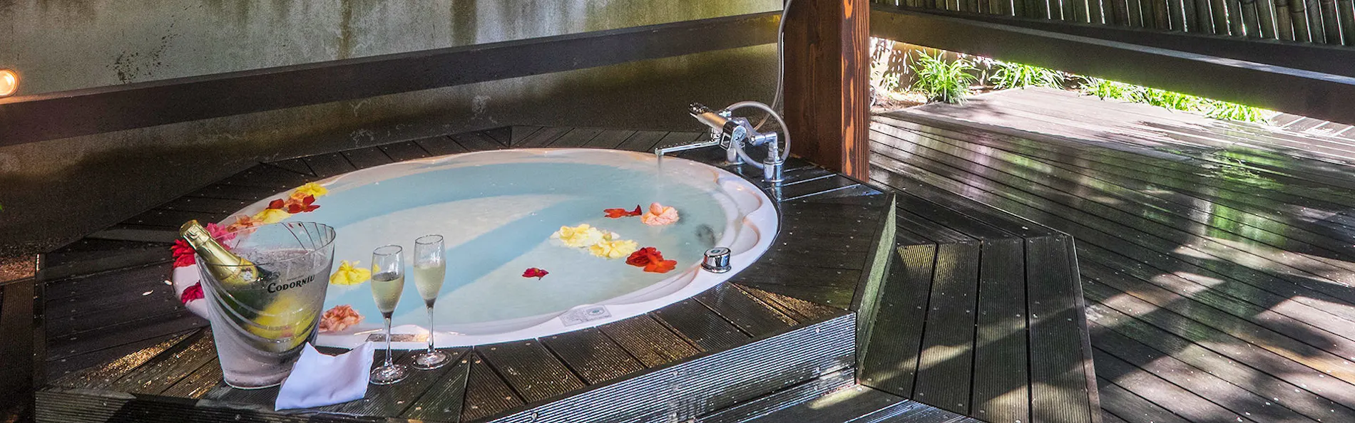 ぶどうの樹 杜の七種