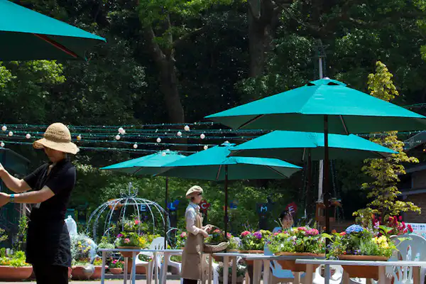 สิ่งอำนวยความสะดวกภายในอาคาร