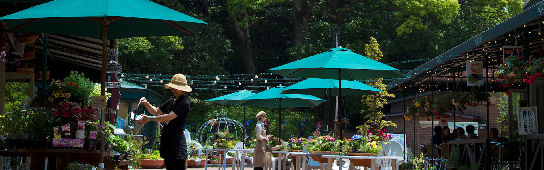 ぶどうの樹 杜の七種