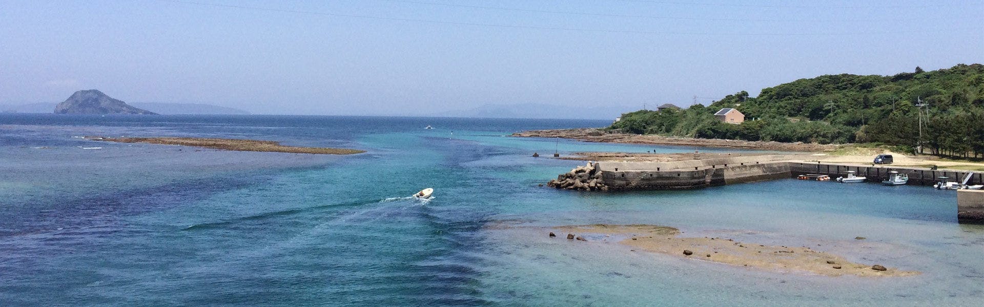 海
