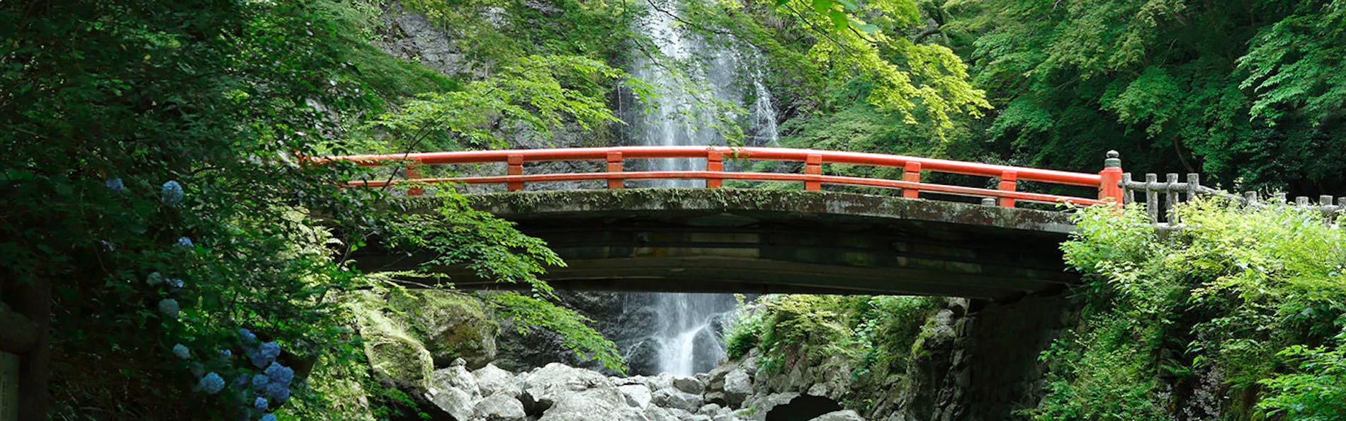 明治の森箕面 音羽山荘