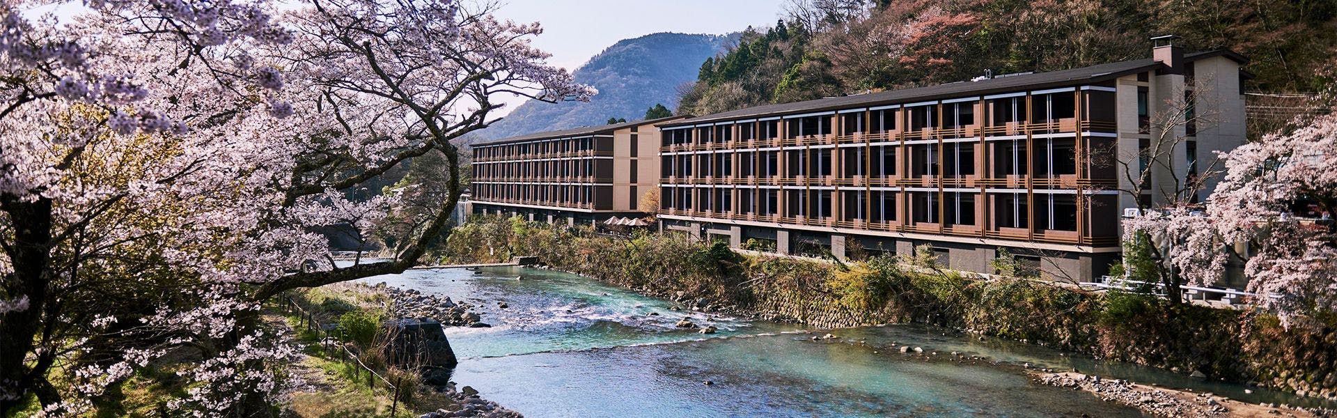 スパ無料付 箱根 熱海 伊豆の無料送迎ありの おすすめホテル 旅館 11選 宿泊予約は 一休 Com