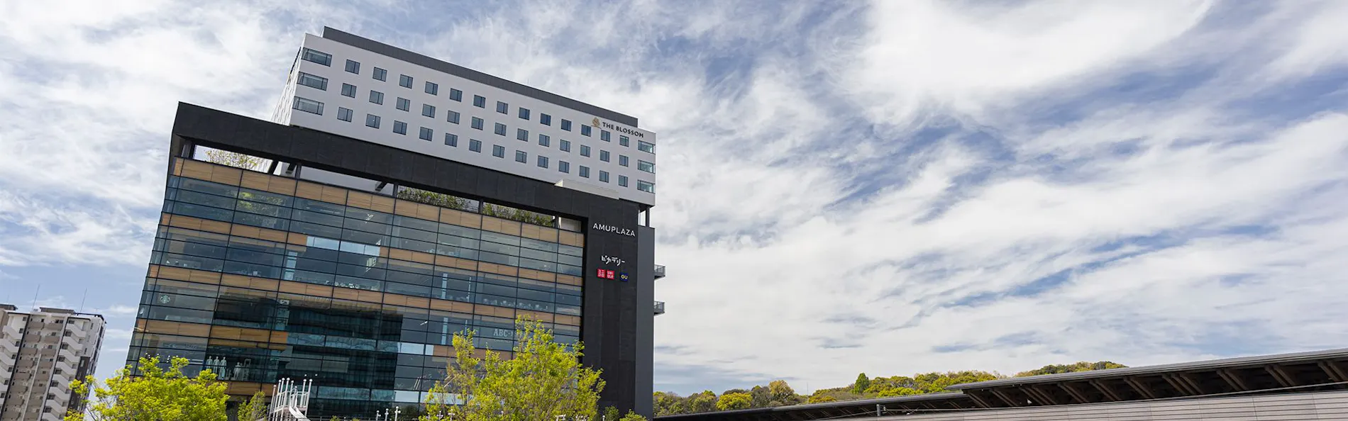 THE BLOSSOM KUMAMOTO(ザ ブラッサム 熊本)