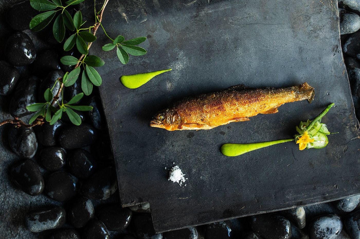 ตัวอย่างอาหาร