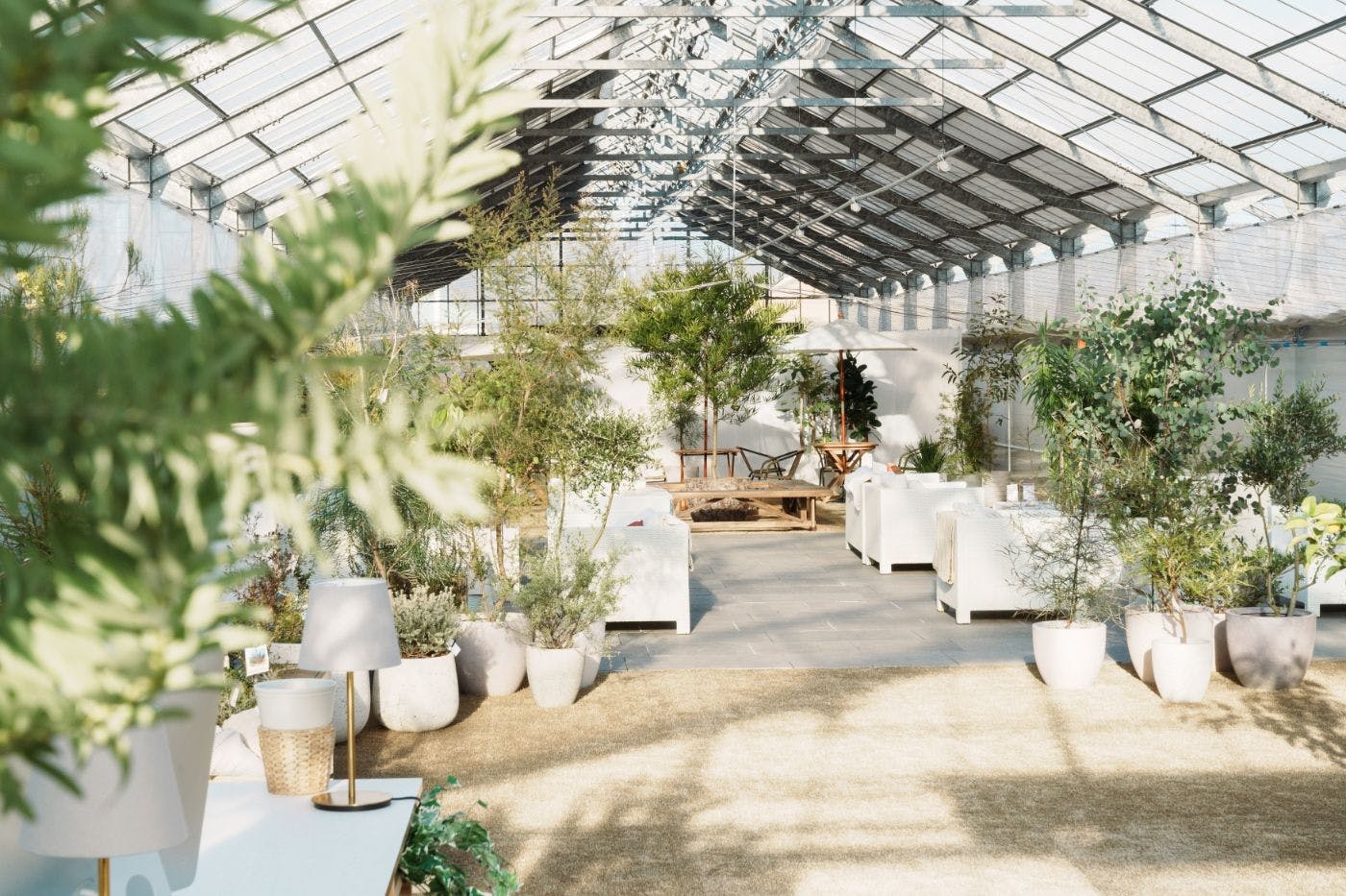 自社ファーム