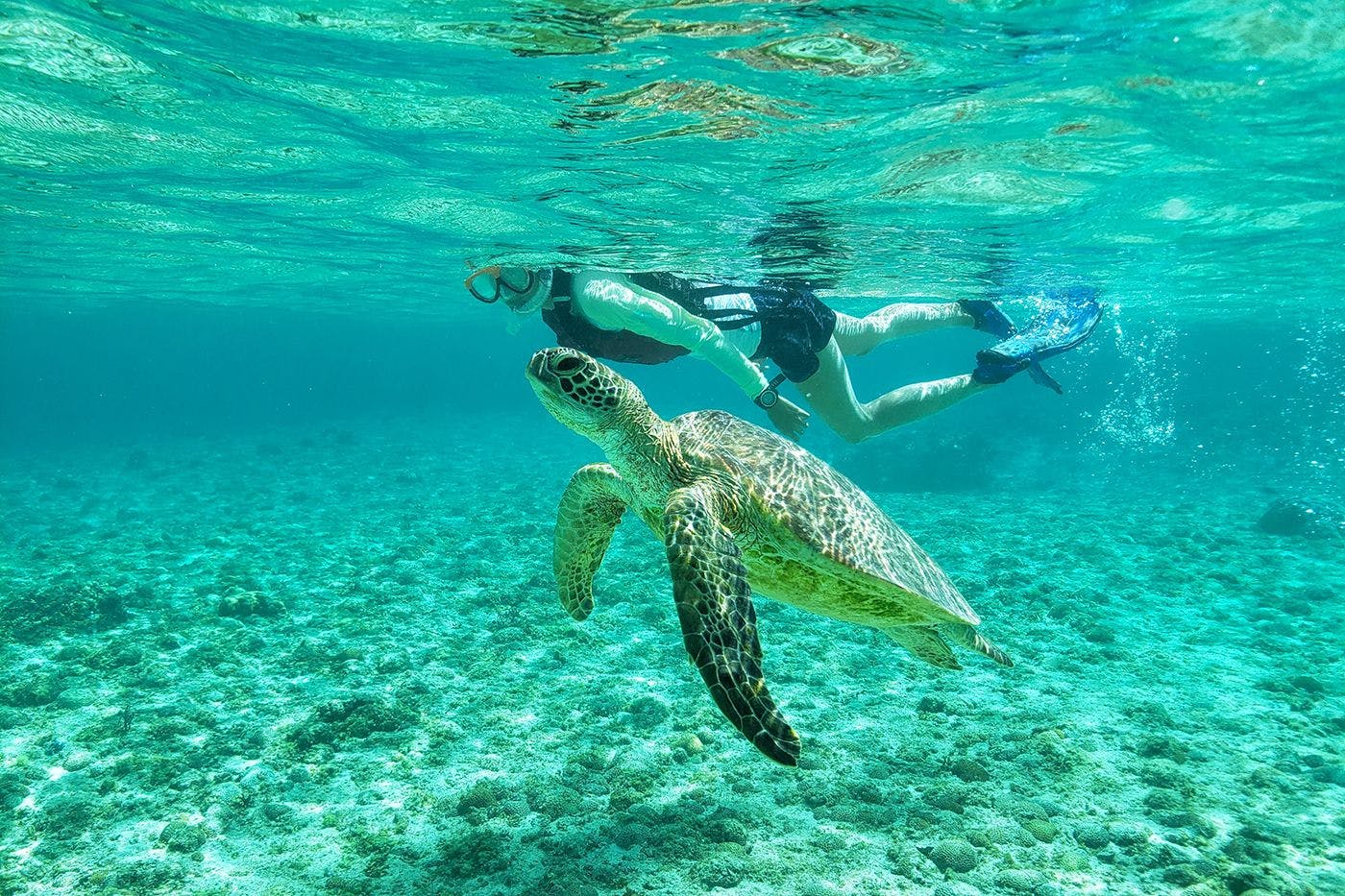 豊富なマリンアクティビティで宮古ブルーをお愉しみいただけます。