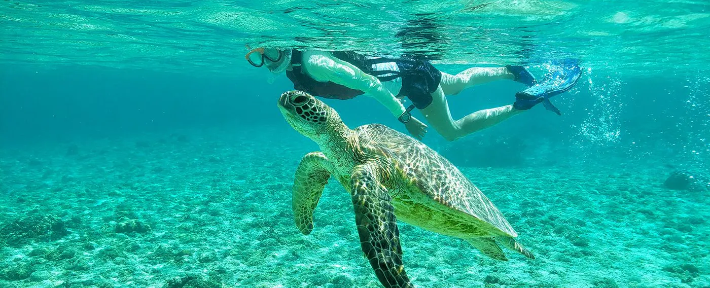 豊富なマリンアクティビティで宮古ブルーをお愉しみいただけます。