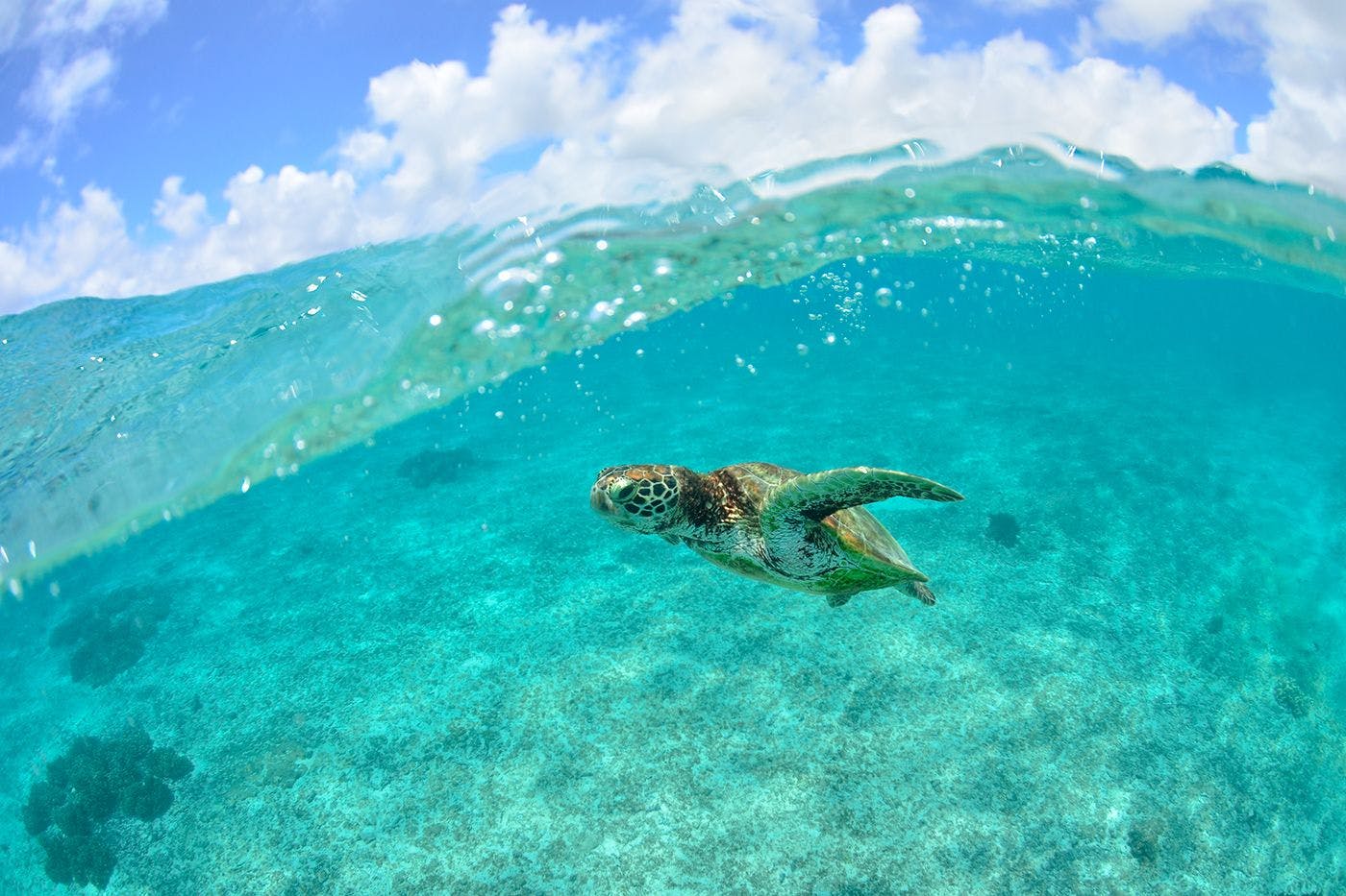 ホテル シギラミラージュ ビーチフロント