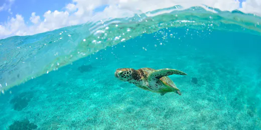 ホテル シギラミラージュ ビーチフロント