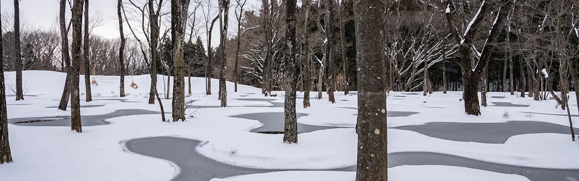 那須 無垢の音