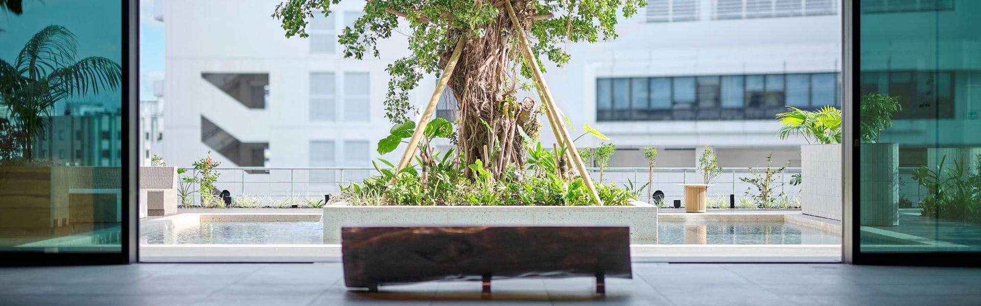 การตกแต่งภายใน