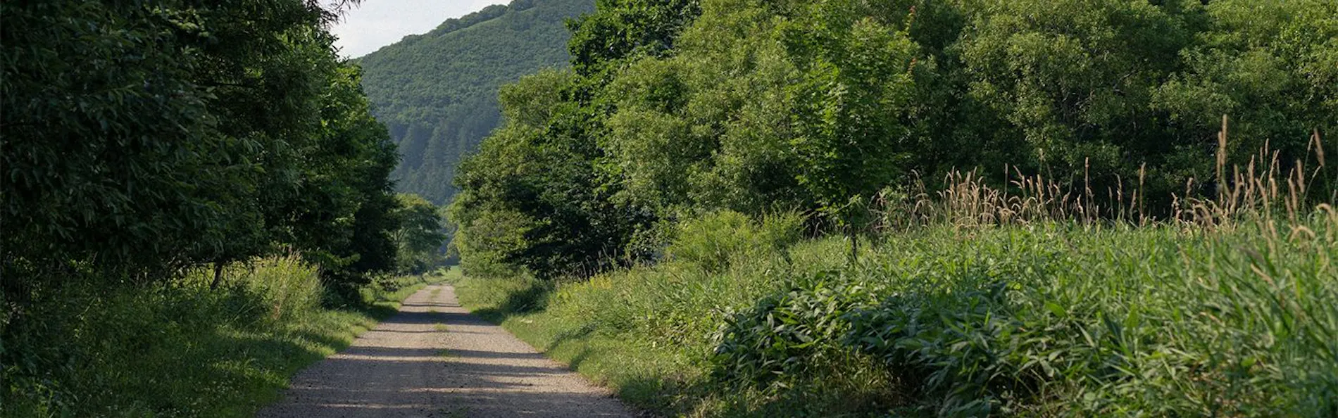 Nature Base Hotel NUPPUKOTTE(ヌップコッテ)
