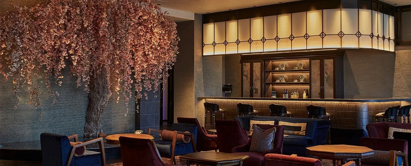 月下の櫻が旅人を癒すラウンジ