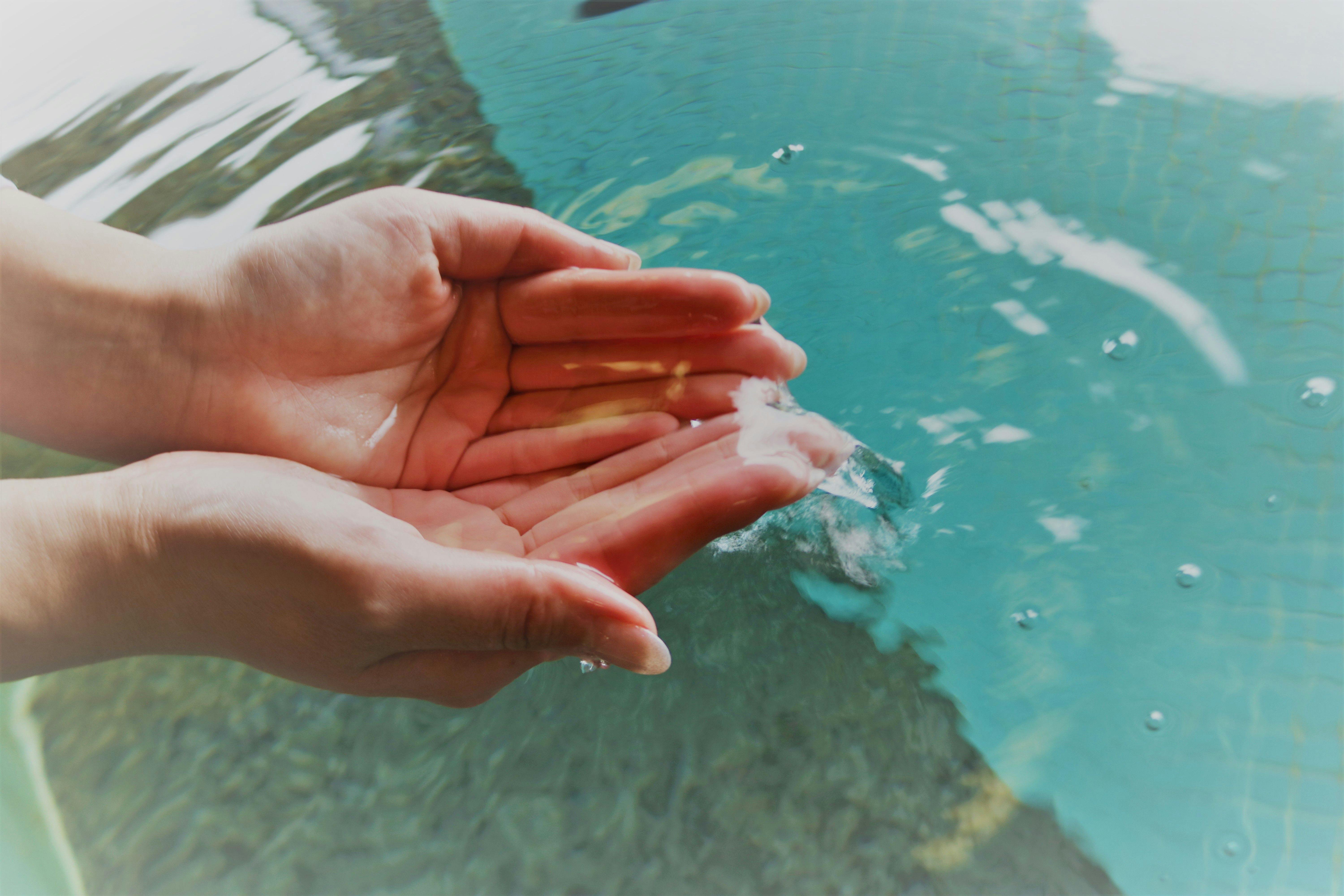 亀の井ホテル 長瀞寄居