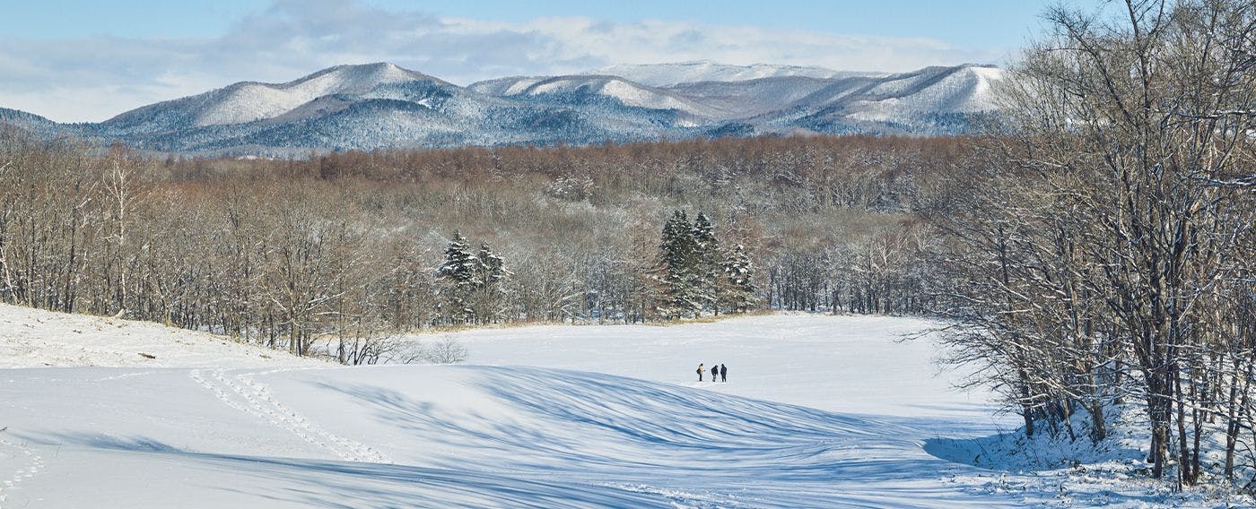 THE ELEMENTAL（ザ・エレメンタル）