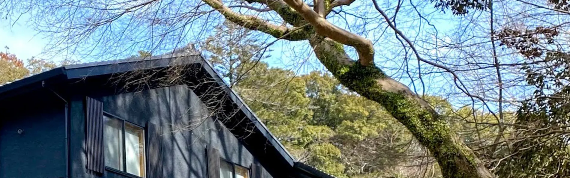奈良春日 鹿のや
