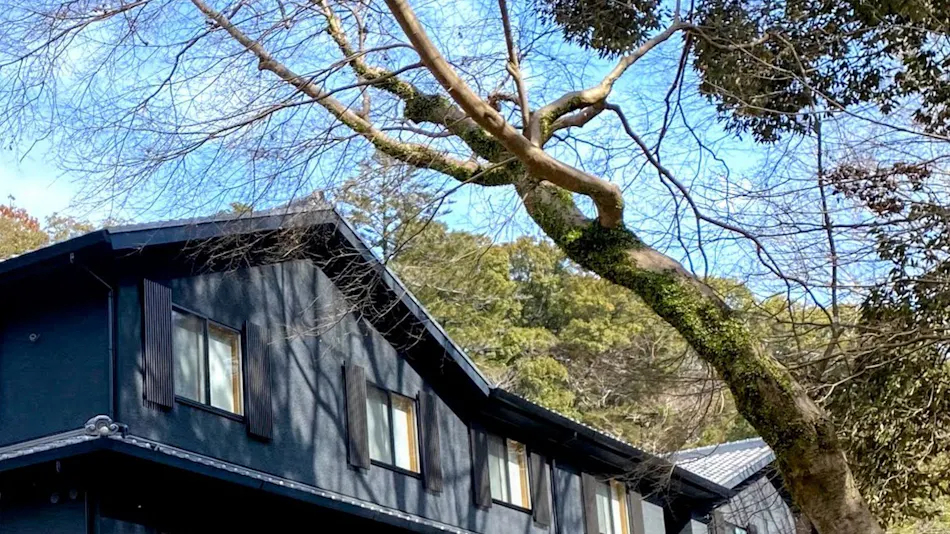 NaraKasuga KANOYA