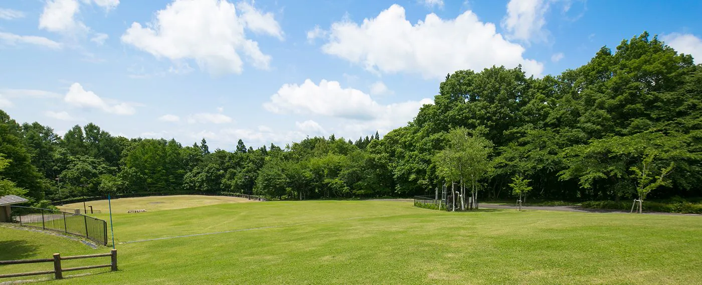 ธรรมชาติและกิจกรรมที่เพลิดเพลินได้ตามฤดูกาล