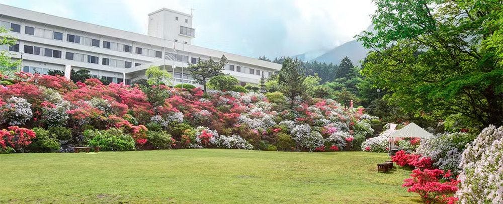 ดอกอาซาเลีย