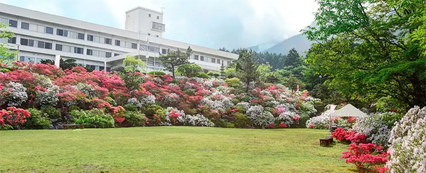 ดอกอาซาเลีย