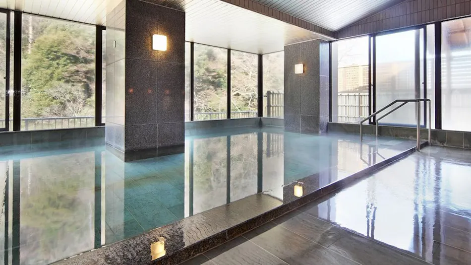 Hakone Pax Yoshino