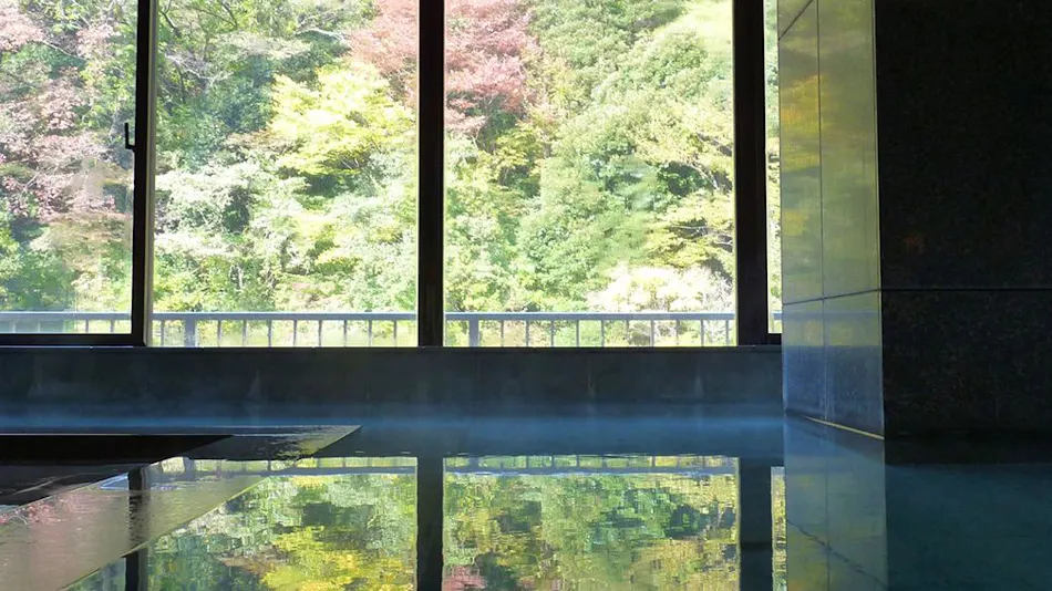 Hakone Pax Yoshino