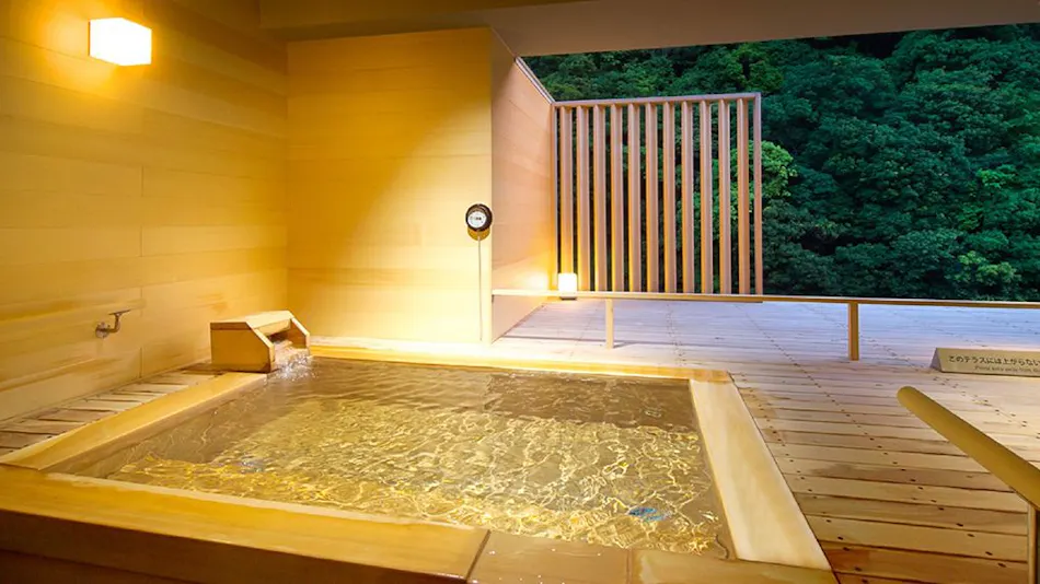 Hakone Pax Yoshino