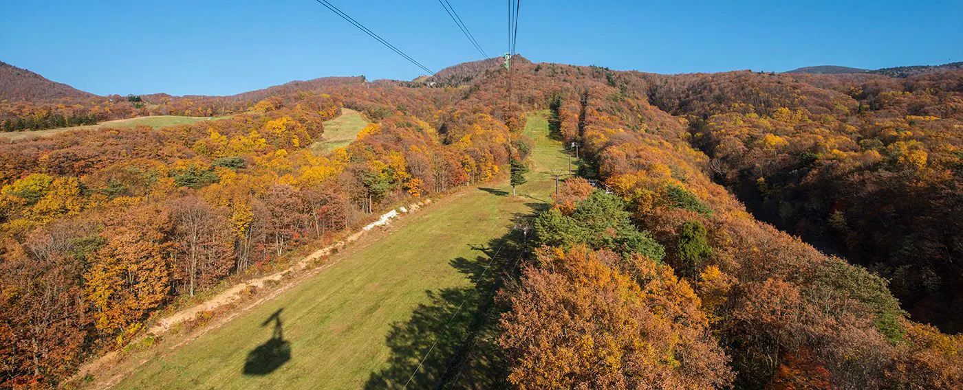 กระเช้าลอยฟ้ากลางซาโอะ