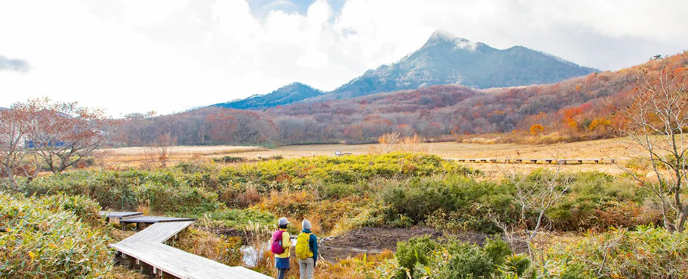 พื้นที่ชุ่มน้ำ