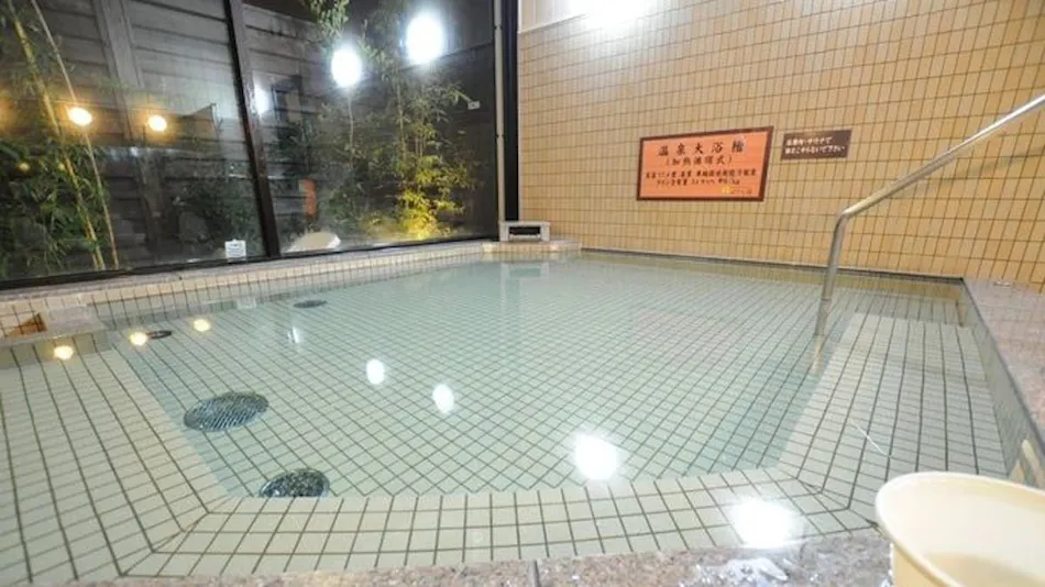 Natural Hot Spring Ura-yu Ryokan Urashima