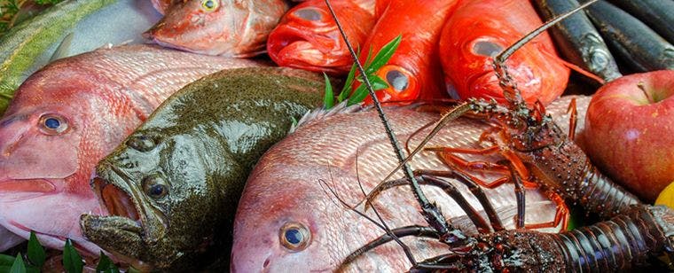 图片 e_ss_mesi2_220727.jpg.jpg