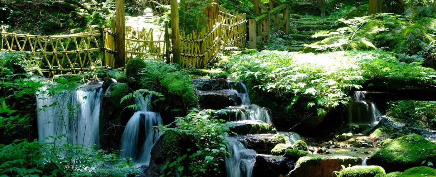 วากาสะ อุริวาริ เมซุย โคเอ็น