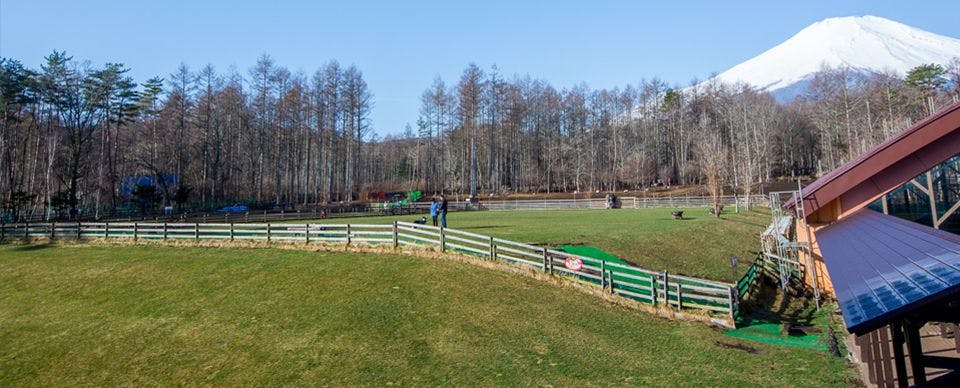 หัวข้อ_ลานวิ่งสุนัข