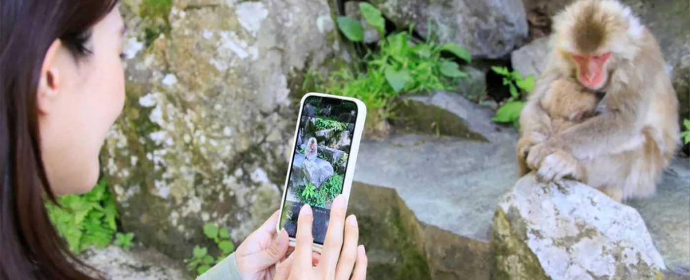 มังกี้พาร์ค